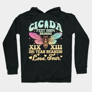 Entomologist Insect Lover Cicada Fest 2024 Broods XIX & XIII Hoodie